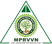 MPRVVN